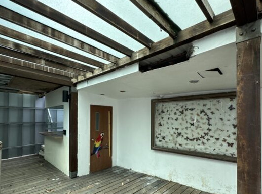 Aviary