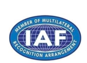 IAF fin