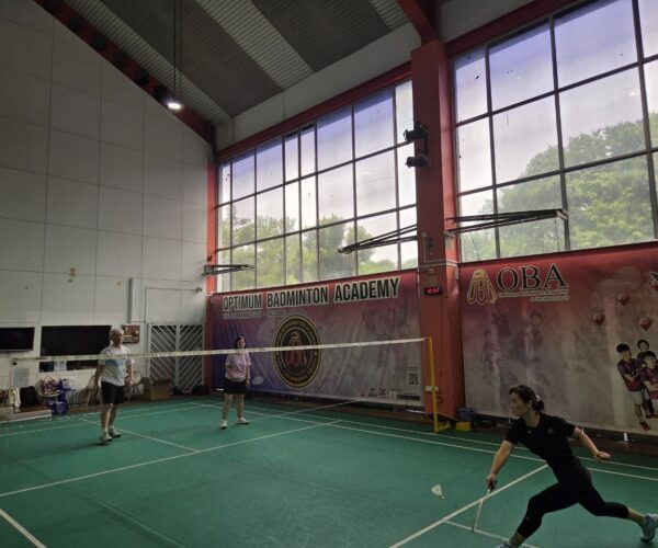 DK Badminton 2